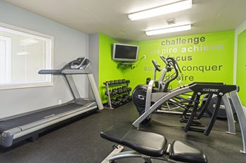 A gym with a treadmill, a stationary bike, and a rowing machine.